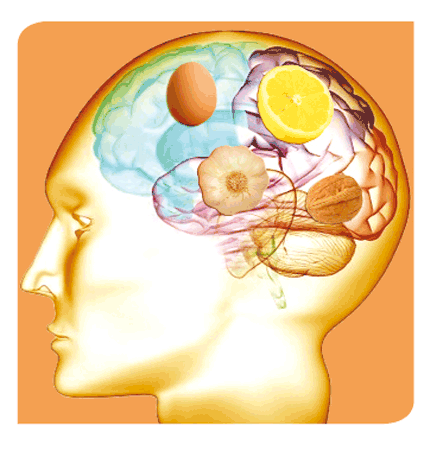 Imagen: Alimentos para el cerebro